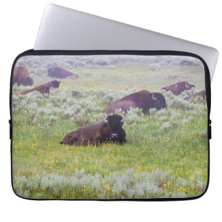 Capa Para Notebook Bison Dream Laptop Case