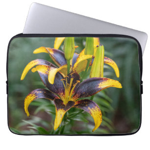Capa Para Notebook Black Hybrid Asiatic Lily, Foto de Sangue Escuro
