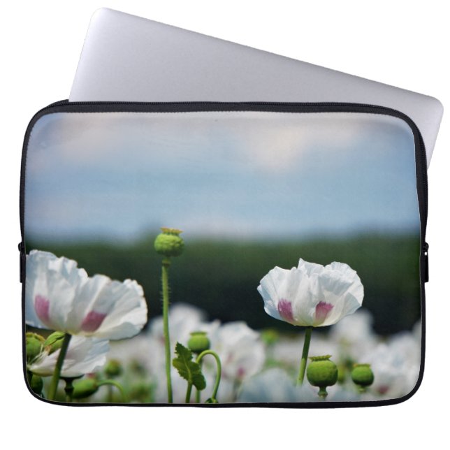 Capa Para Notebook Bloemen veld, Papaver somneferum maanzaad bloem. (Frente)
