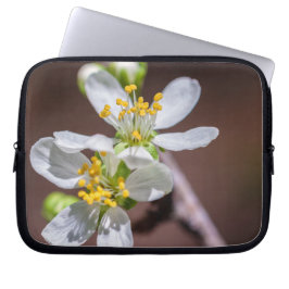 Capa Para Notebook Blossomas de ameixa