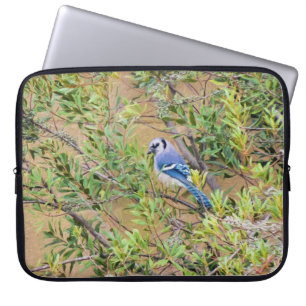 Capa Para Notebook Blue Jay sobre Myrtle da Cera do Sul