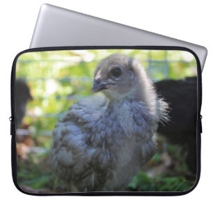 Capa Para Notebook Bluebell
