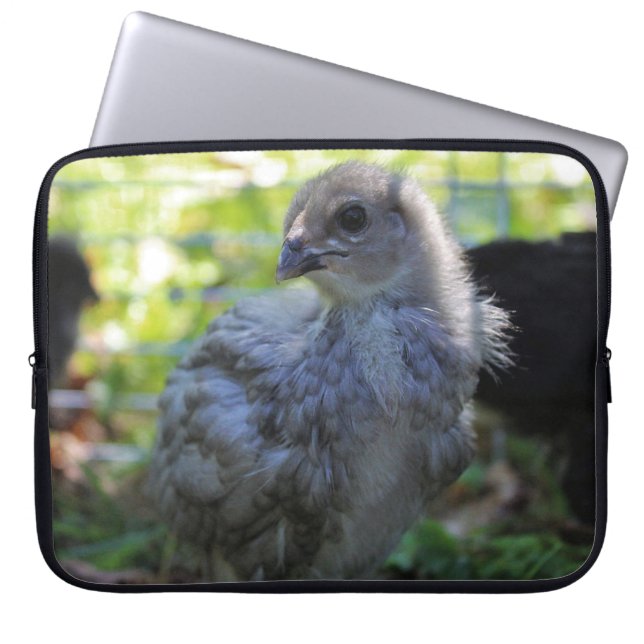 Capa Para Notebook Bluebell (Frente)