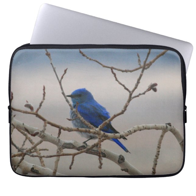 Capa Para Notebook Bluebird da montanha (Frente)