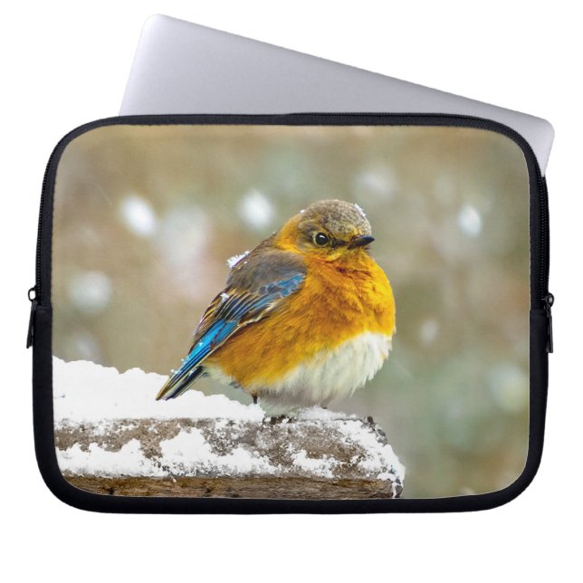 Capa Para Notebook Bluebird oriental na neve - Foto original (Frente)