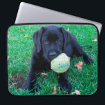 Capa Para Notebook Bola de Reprodução - Labrador Puppy - Preto Lab<br><div class="desc">Tudo o que o Black Lab Puppy quer fazer é jogar bola! Tocar Bola - Arte Original de Judy Burrows @ Black Dog Art</div>