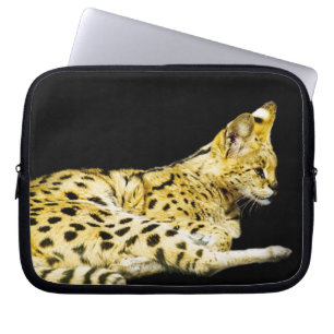 Capa Para Notebook Bolsa de laptop