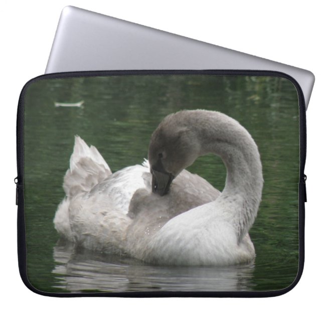 Capa Para Notebook Bolsa de laptop Cisne Sonolento (Frente)
