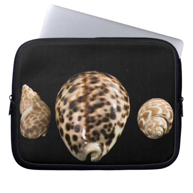 Capa Para Notebook Bolsa de laptop Cowrie Cones 2 (Frente)