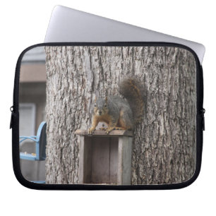 Capa Para Notebook Bolsa de laptop de esquilo