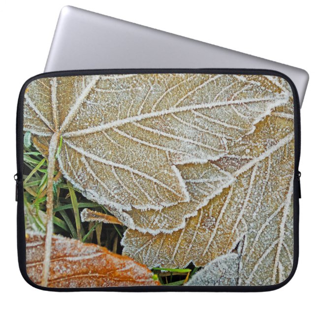 Capa Para Notebook Bolsa de laptop de Mapeamento Congelado (Frente)