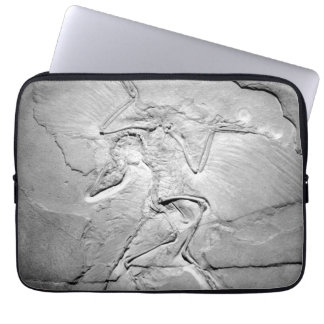 Capa Para Notebook Bolsa de laptop de Neoprene fóssil Archaeopteryx d