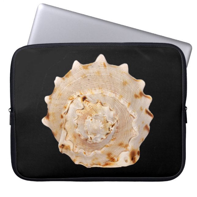 Capa Para Notebook Bolsa de laptop do Conch Shell (Frente)
