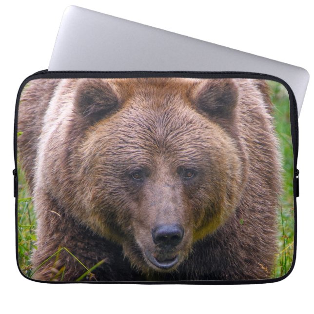 Capa Para Notebook Bolsa de laptop do Urso Castanho (Frente)
