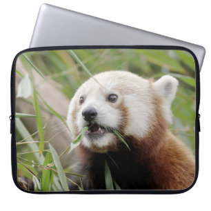 Capa Para Notebook bolsa de laptop Foto vermelha panda, animais.