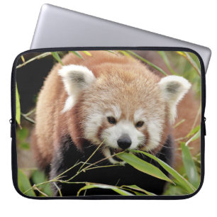 Capa Para Notebook bolsa de laptop Foto vermelha panda, animais.