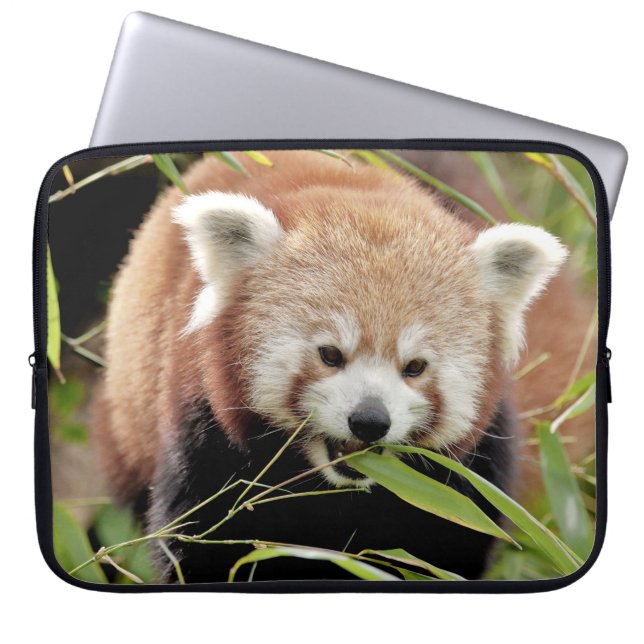 Capa Para Notebook bolsa de laptop Foto vermelha panda, animais. (Frente)