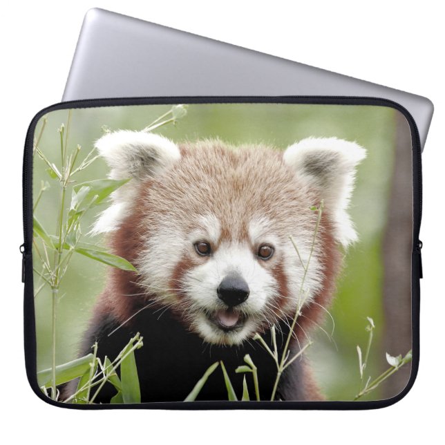 Capa Para Notebook bolsa de laptop Foto vermelha panda, animais. (Frente)