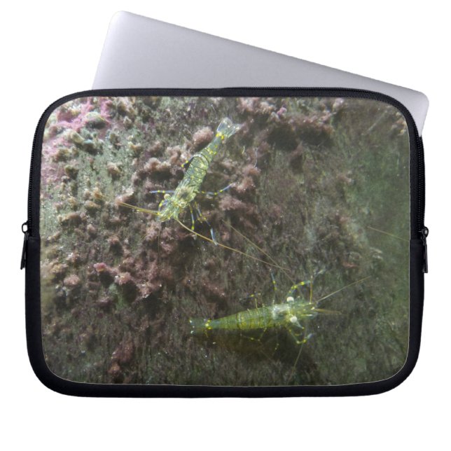 Capa Para Notebook Bolsa de laptop Neoprene Shrimps de 10 polegadas (Frente)