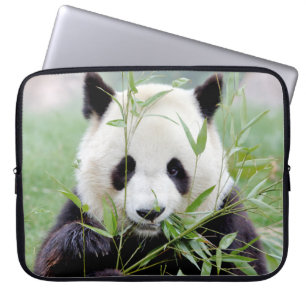 Capa Para Notebook bolsa de laptop Panda gigante fotográfico, animai