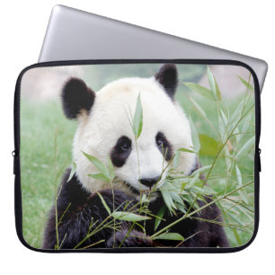 Capa Para Notebook bolsa de laptop Panda gigante fotográfico, animai