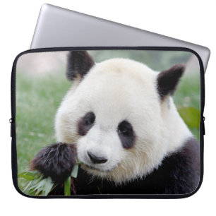 Capa Para Notebook bolsa de laptop Panda gigante fotográfico, animai