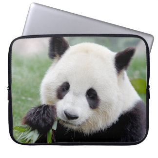 Capa Para Notebook bolsa de laptop Panda gigante fotográfico, animais
