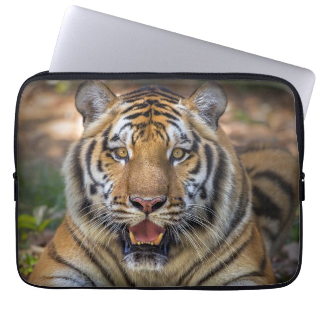 Capa Para Notebook Bolsa de laptop Tiger (Frente)