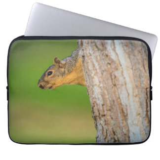 Capa Para Notebook Bolsa para Laptop Esquilo | Estojo Fauna Florestal