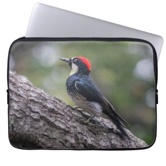 Capa Para Notebook Bolsa para Laptop Pica-Pau | Arte de Pássaros