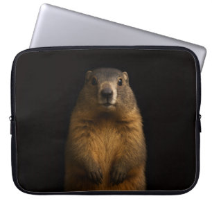 Capa Para Notebook Bolsa para Laptop Preta 4 Luxe, Marmota Fofa