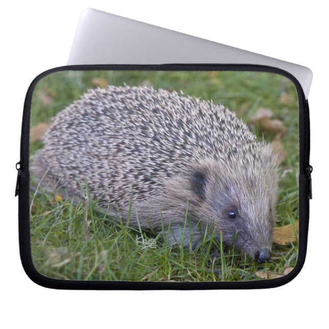 Capa Para Notebook Bolsa para Laptop Prickles (Frente)