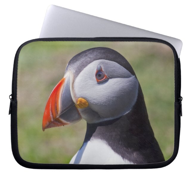 Capa Para Notebook Bolsa para Laptop Puffin (Frente)