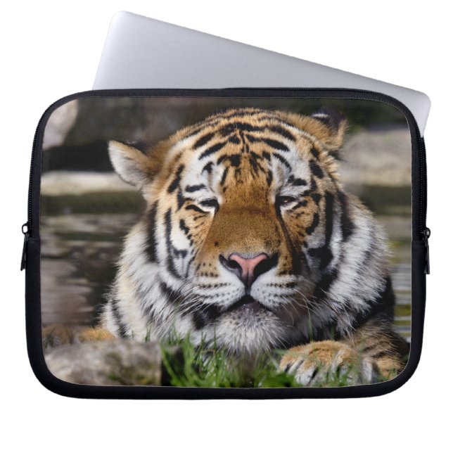 Capa Para Notebook Bolsa para Laptop Zambar Tiger (Frente)