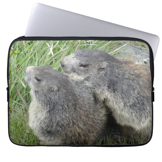 Capa Para Notebook Bolsas de laptop Marmots (Frente)