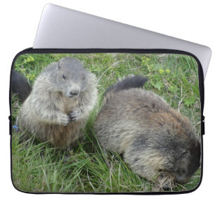 Capa Para Notebook Bolsas de laptop Marmots