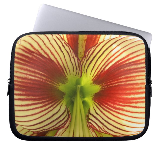 Capa Para Notebook Borboleta Amaryllis (Frente)