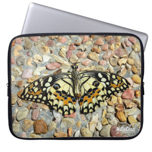 Capa Para Notebook Borboleta Bonita NaturalCraze (Borboleta Limão)
