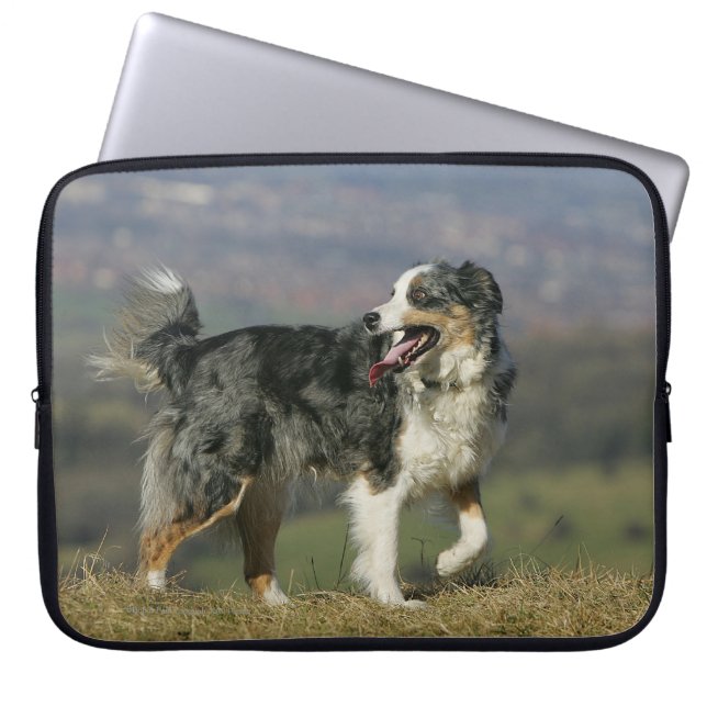 Capa Para Notebook Border collie que arfa 2 (Frente)
