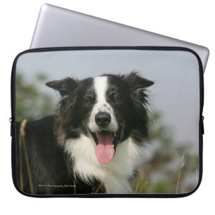 Capa Para Notebook Border collie que arfa o Headshot 1