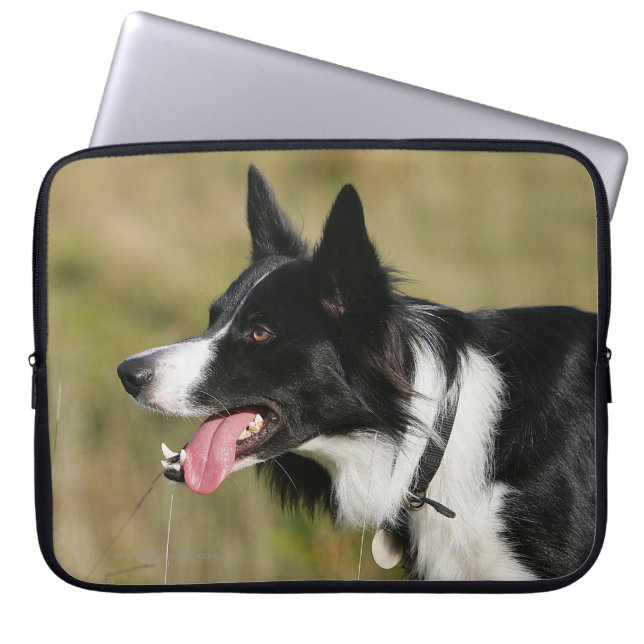 Capa Para Notebook Border collie que arfa o Headshot 2 (Frente)