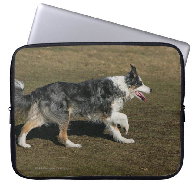 Capa Para Notebook Border collie que funciona 1 (Frente)