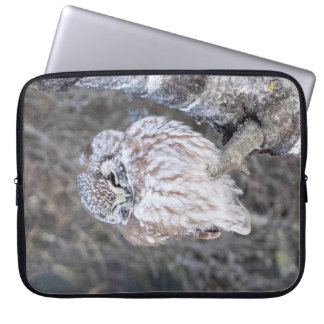 Capa Para Notebook Boreal Owl Bolsa de laptop 15"