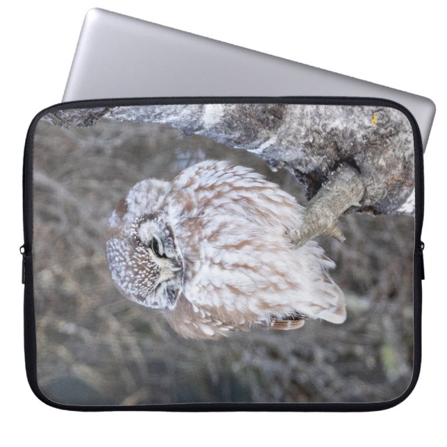 Capa Para Notebook Boreal Owl Bolsa de laptop 15" (Frente)