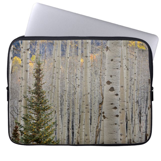 Capa Para Notebook Bosques de Álamo Outonal | Montanhas Rochosas do C (Frente)