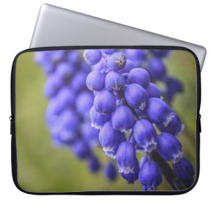 Capa Para Notebook Botões azuis pequenos