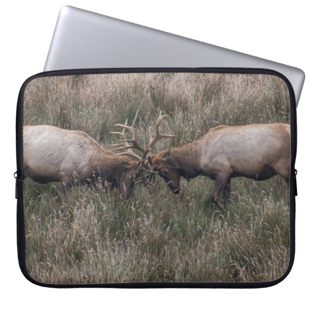 CAPA PARA NOTEBOOK BRILHANTES (Frente)