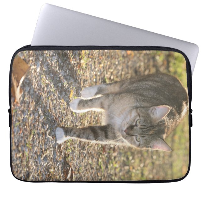 Capa Para Notebook Brin (Frente)