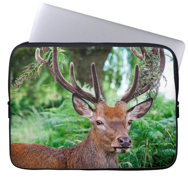 Capa Para Notebook Buck Deer Bolsa de laptop (Frente)