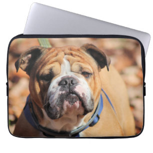 Capa Para Notebook Buddy Bulldog